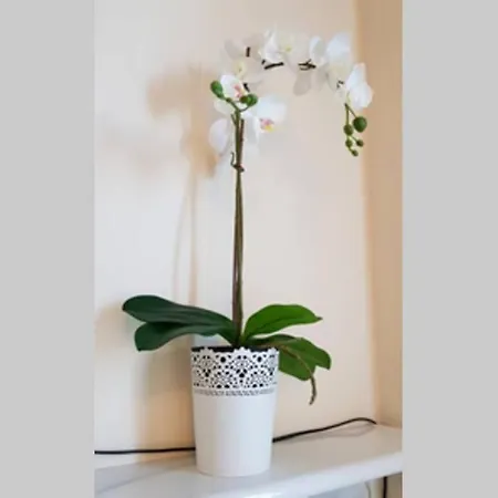 Appartamento Cozy Modern Astoria Magic Orange Old Town *