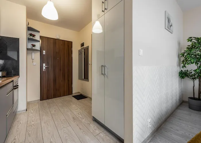 Cozy Modern Astoria Magic Orange Old Town Kraków